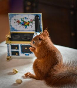 Электрасэрвіс на Урсусе Рамонт электронікі на Урсусе